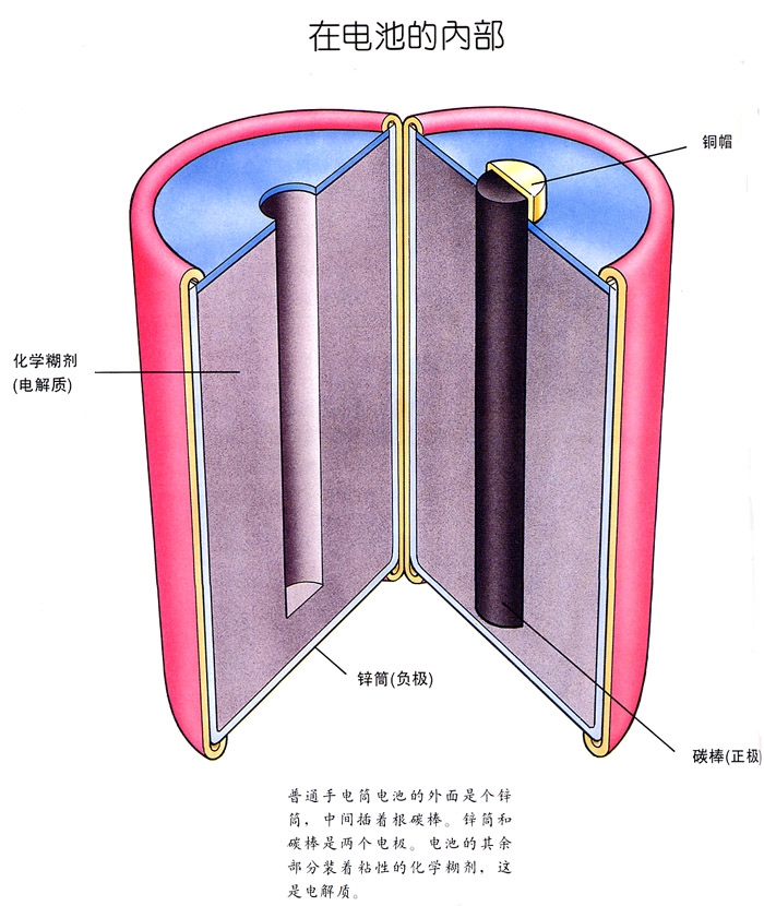 一号电池结构图片