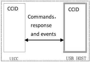 图6 运用CCID协议的架构图 