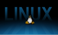 怎么才干进步Linux体系的安全性？这八大招告知你！