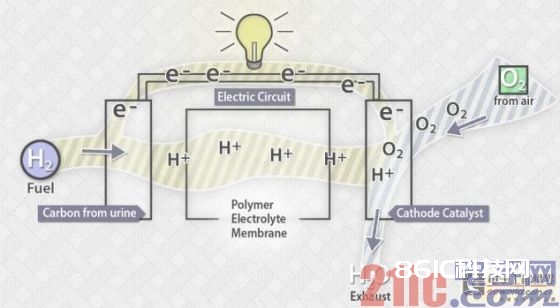 在阳极上，一种通常是铂的催化剂把氢原子的电子分离出来，留下带正电荷的氢离子和自由电子。阳极和阴极之间的一张膜只允许氢离子经过。这意味着电子只要沿着外电路移动，继而发生电流。