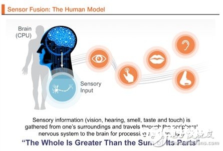 图1 传感器交融：人体模型